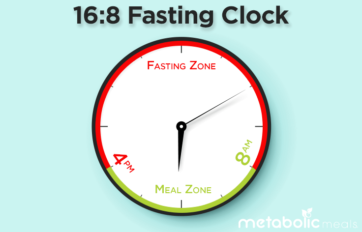 How healthy is intermitting fasting ? - Probodywarehouse