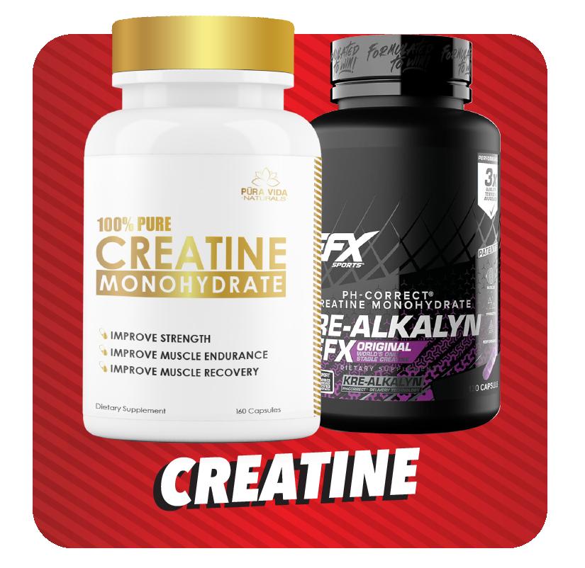 Creatine - Probodywarehouse