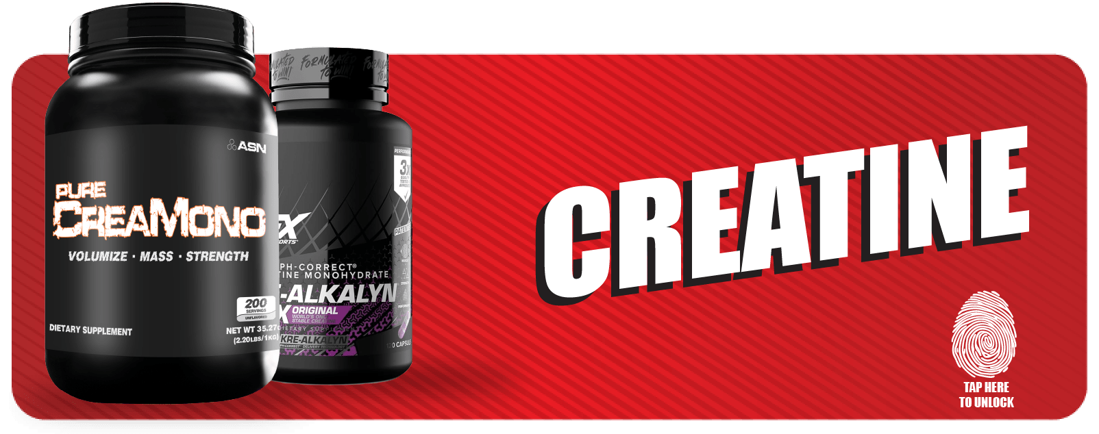 Creatine - Probodywarehouse