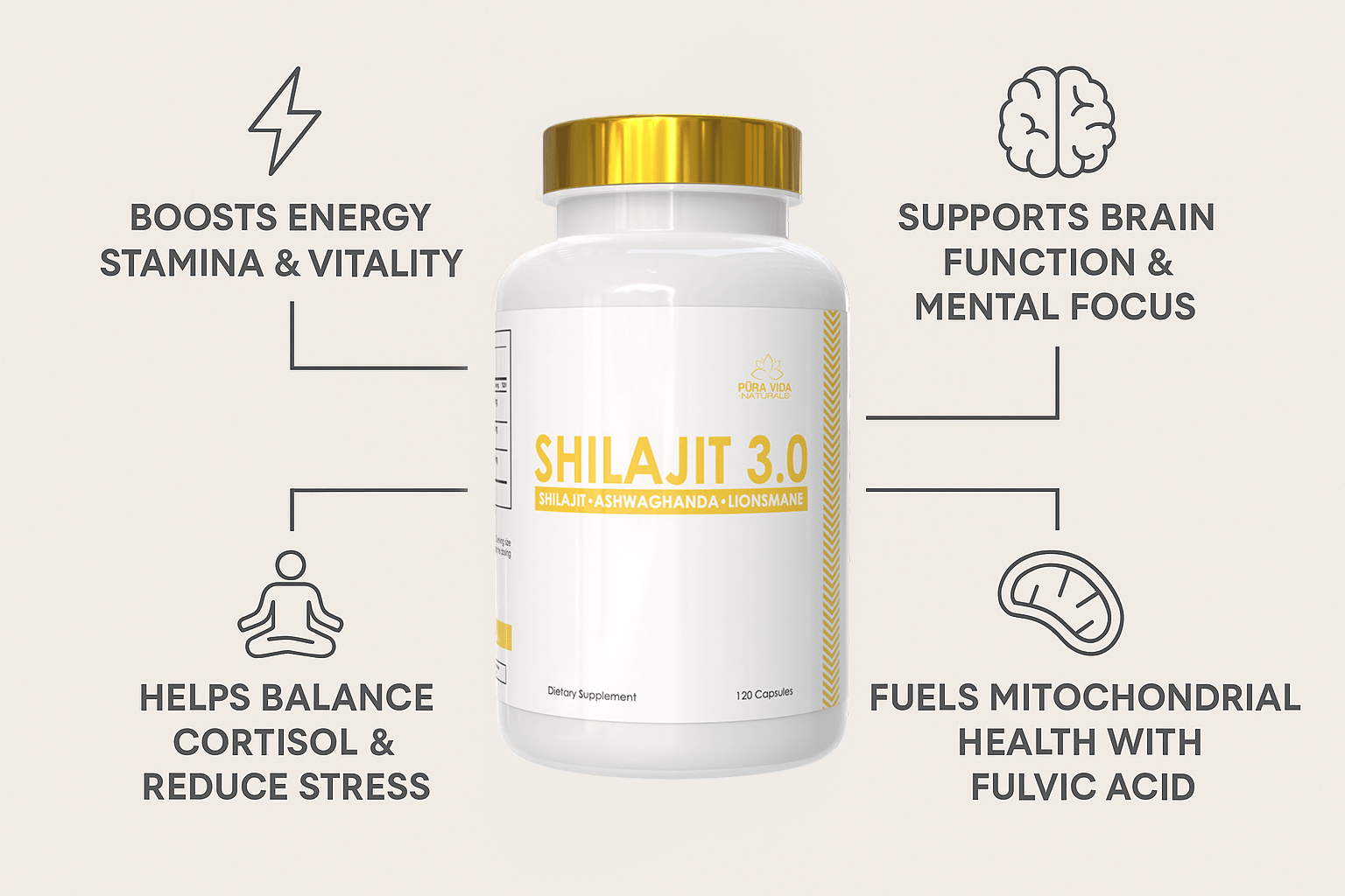 PURAVIDA NATURALS SHILAJIT 3.0 120 CT - Probodywarehouse