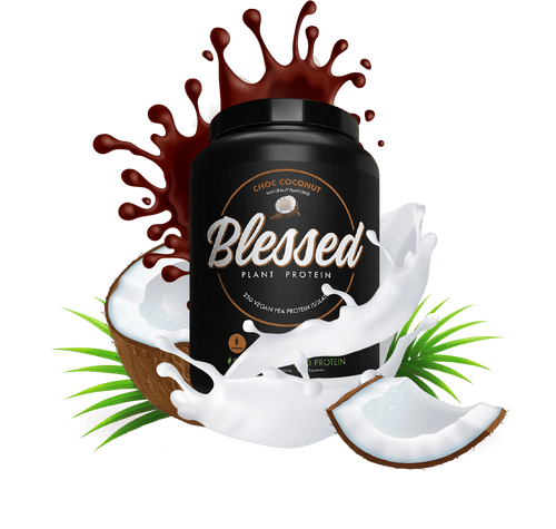 BLESSED PLANT PROTEIN - Probodywarehouse