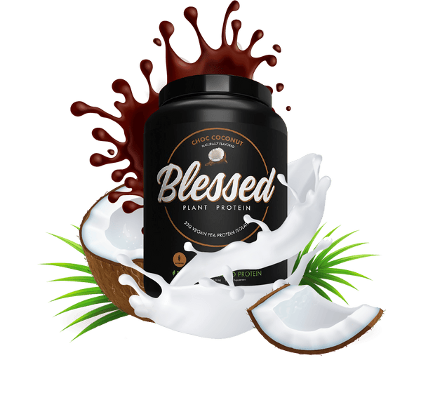 BLESSED PLANT PROTEIN - Probodywarehouse